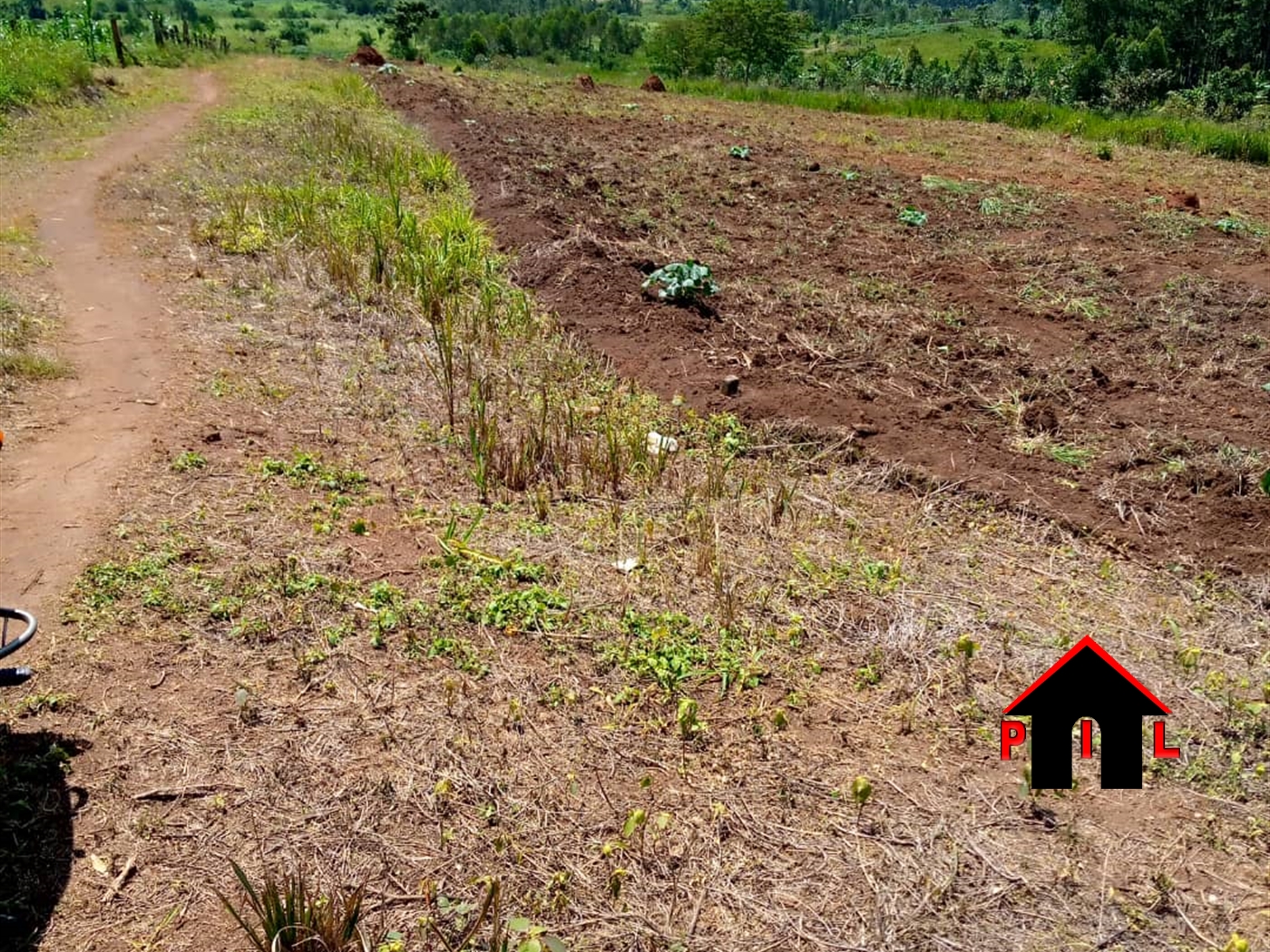 Agricultural Land for sale in Bugembe Nakasongola