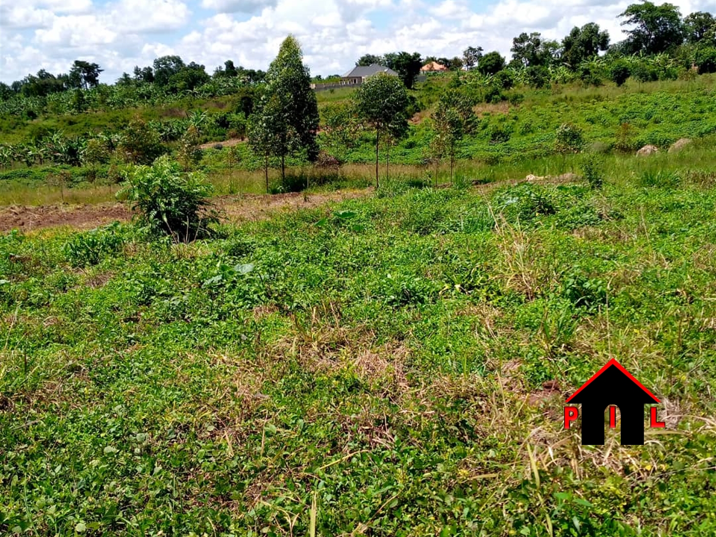 Agricultural Land for sale in Bugembe Nakasongola