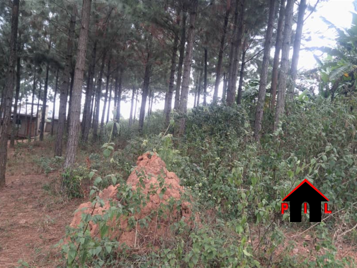 Residential Land for sale in Gayaza Wakiso