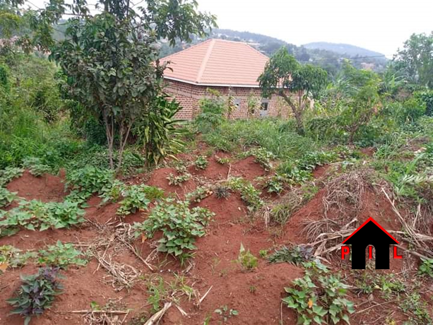 Agricultural Land for sale in Luwunga Wakiso