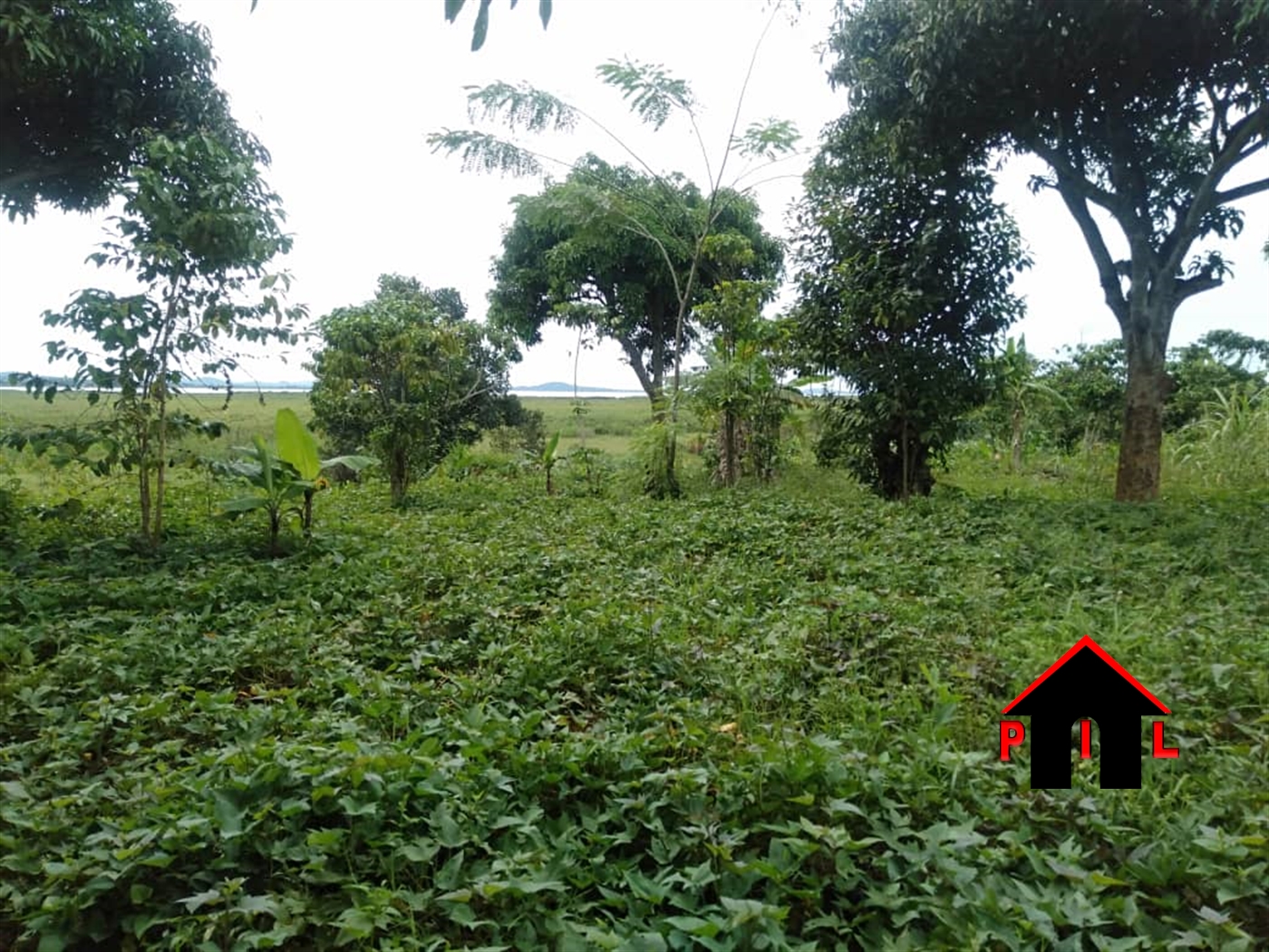 Agricultural Land for sale in Bweya Wakiso