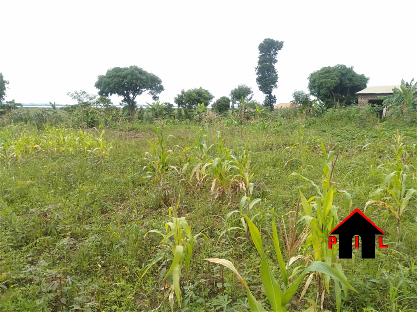 Agricultural Land for sale in Bweya Wakiso