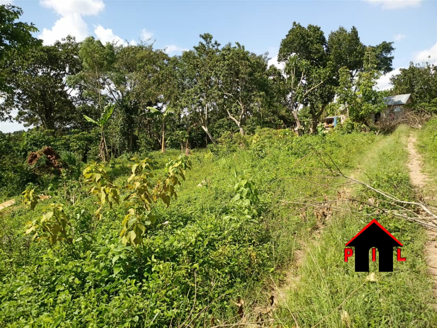 Residential Land for sale in Nabuuti Mukono