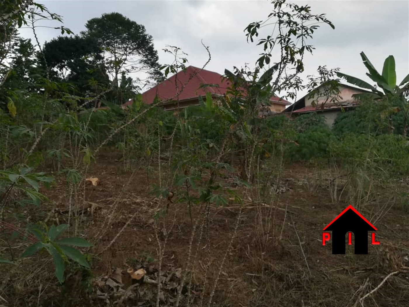 Agricultural Land for sale in Buyuki Luweero
