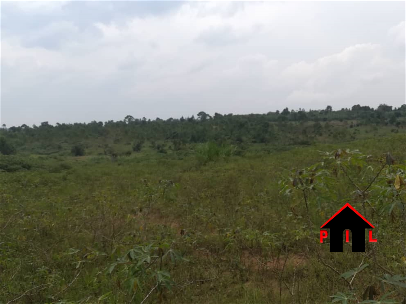 Agricultural Land for sale in Kalinda Nakasongola