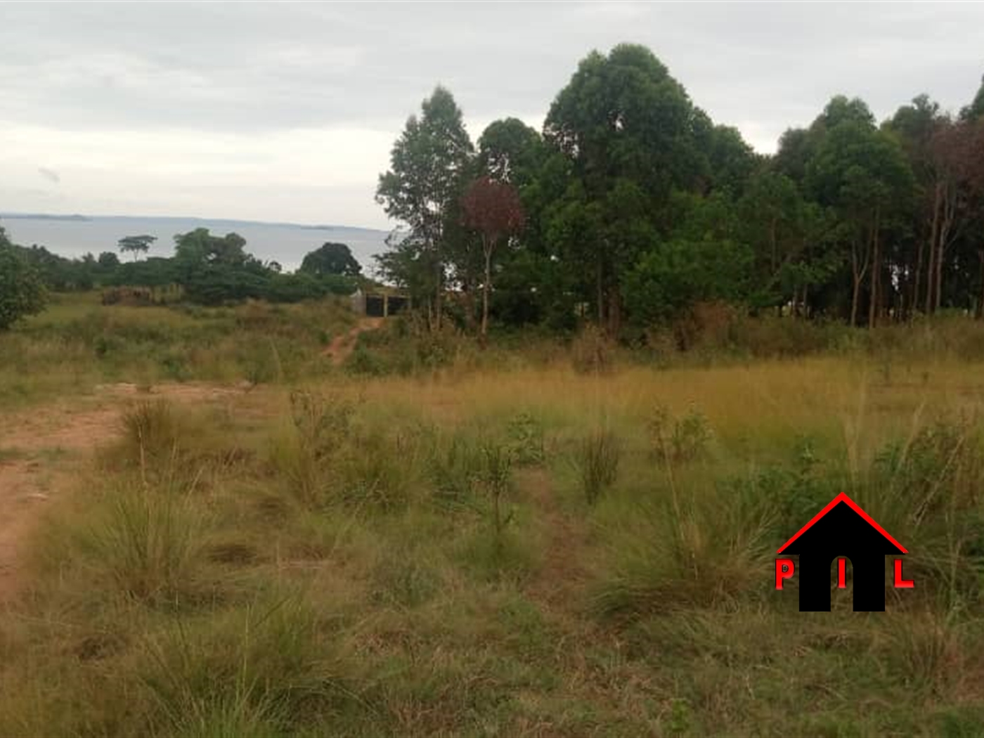 Agricultural Land for sale in Kasambya Mubende