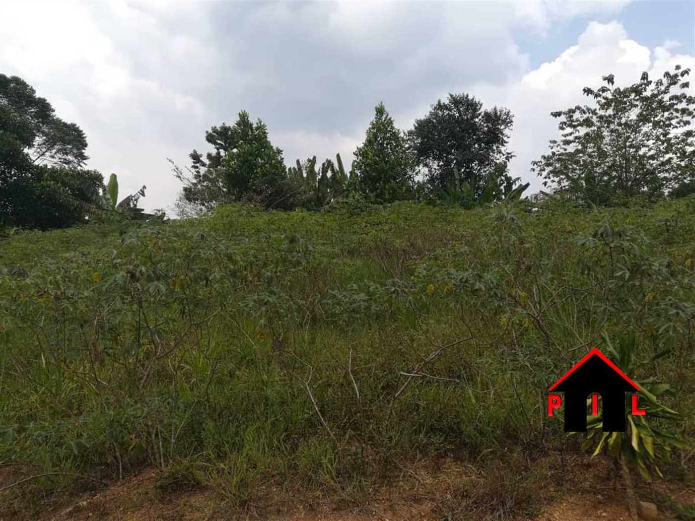Agricultural Land for sale in Kasambya Luweero