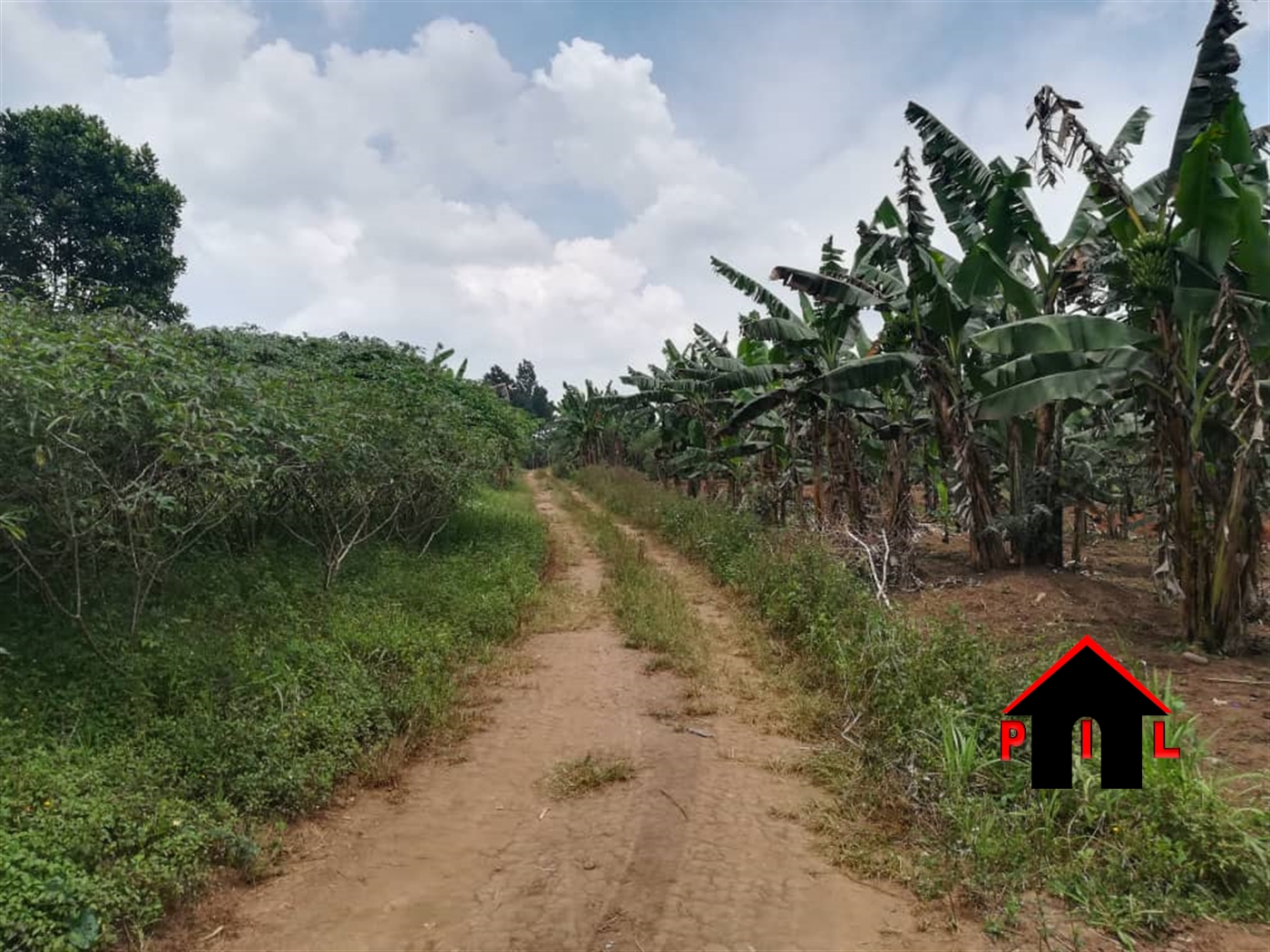 Agricultural Land for sale in Kasambya Luweero