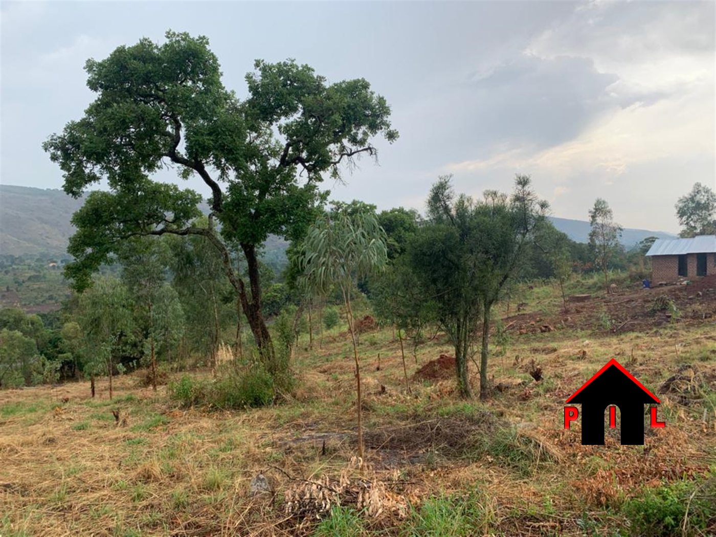 Agricultural Land for sale in Nakasetta Mityana