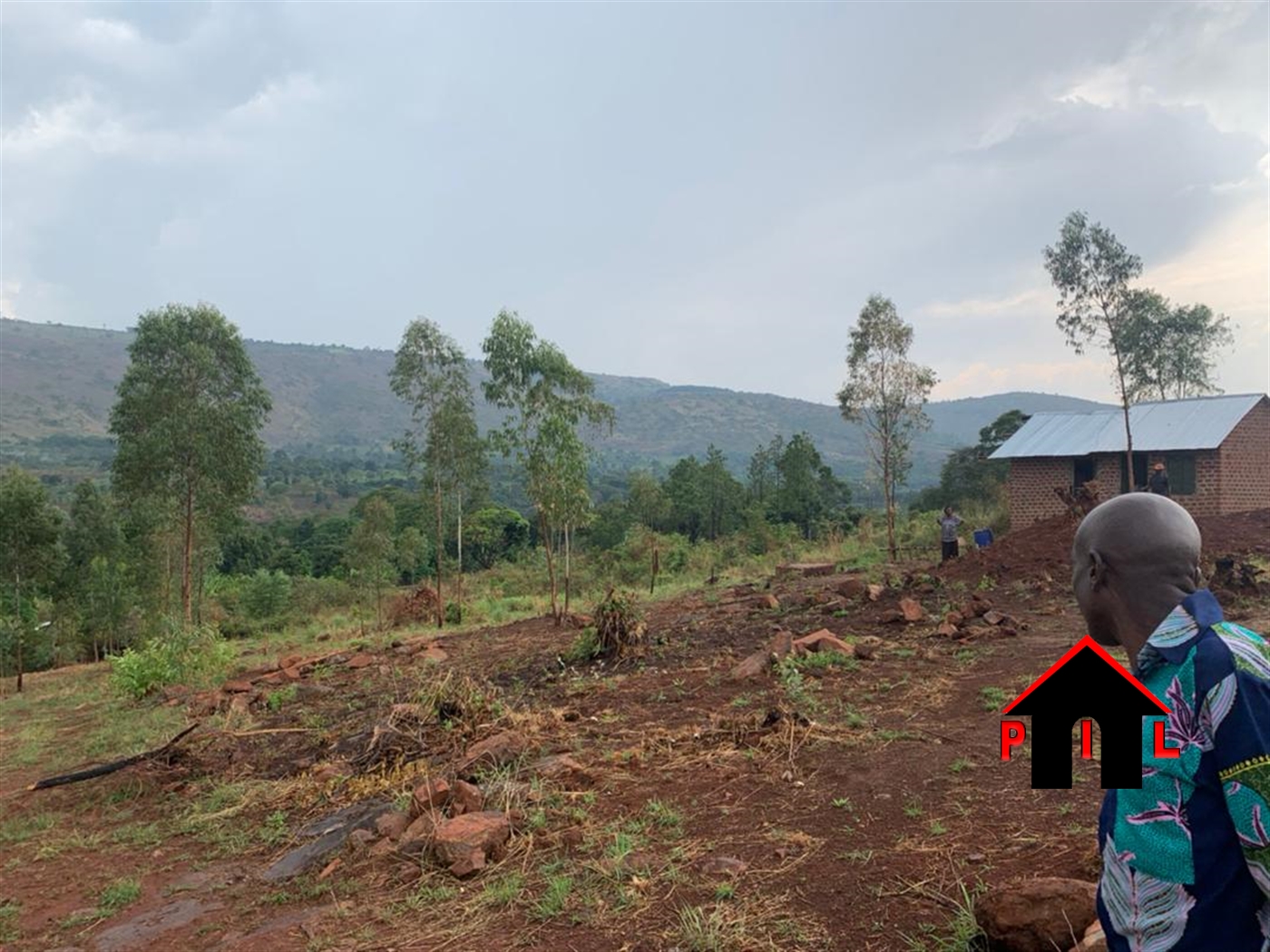Agricultural Land for sale in Nakasetta Mityana