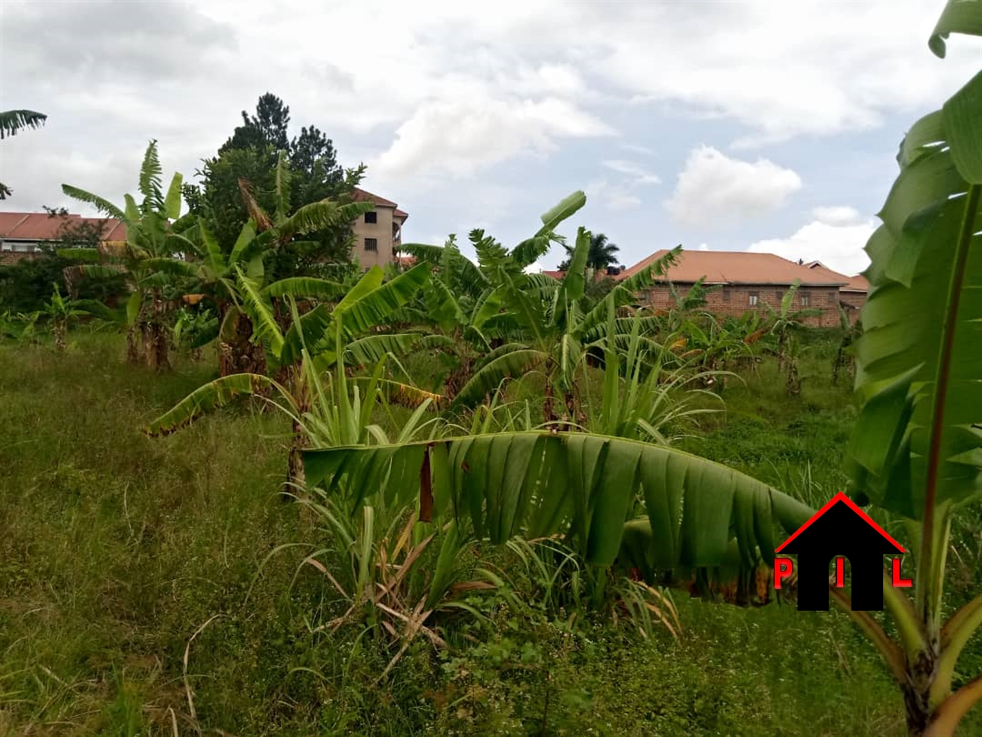 Agricultural Land for sale in Kanyonza Luweero
