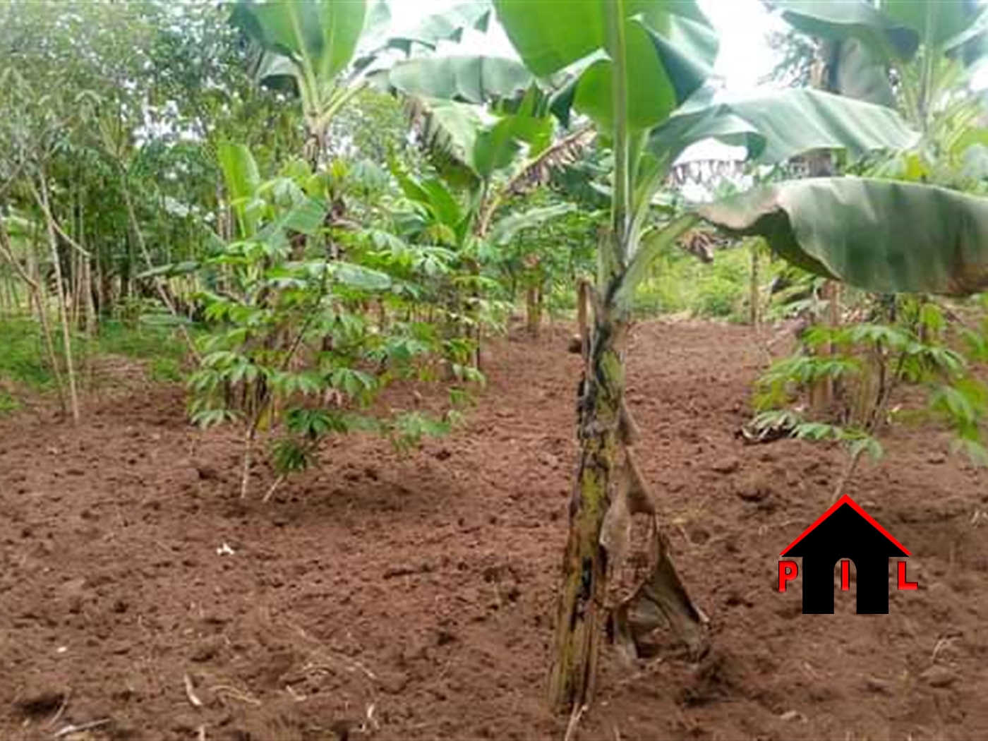 Agricultural Land for sale in Kakiri Wakiso