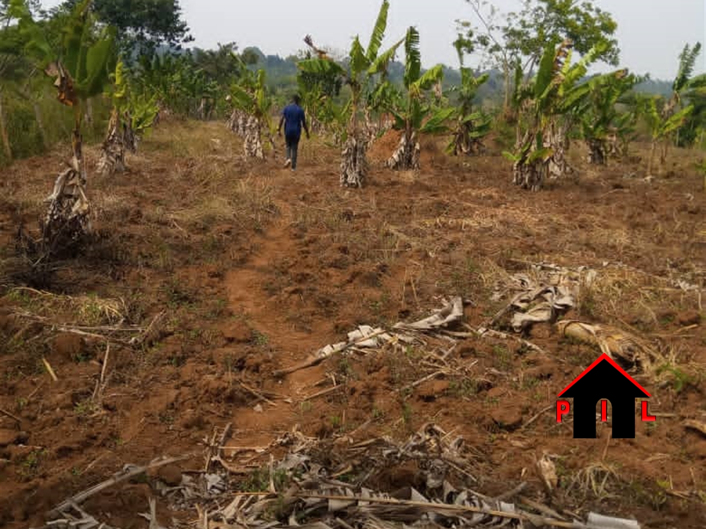 Residential Land for sale in Bakka Wakiso