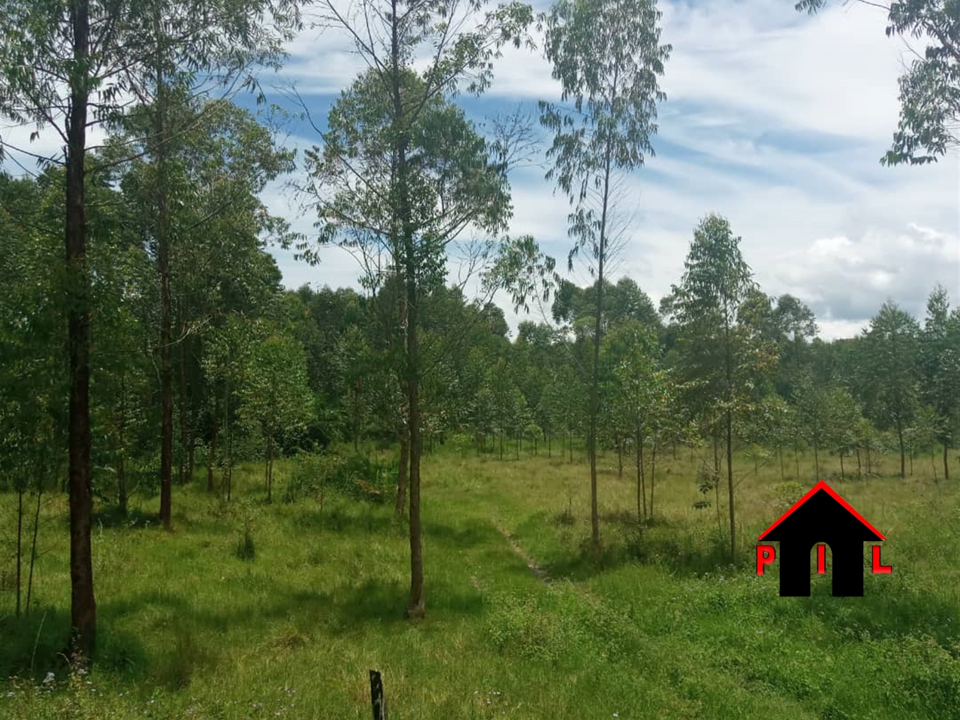 Residential Land for sale in Busana Kayunga