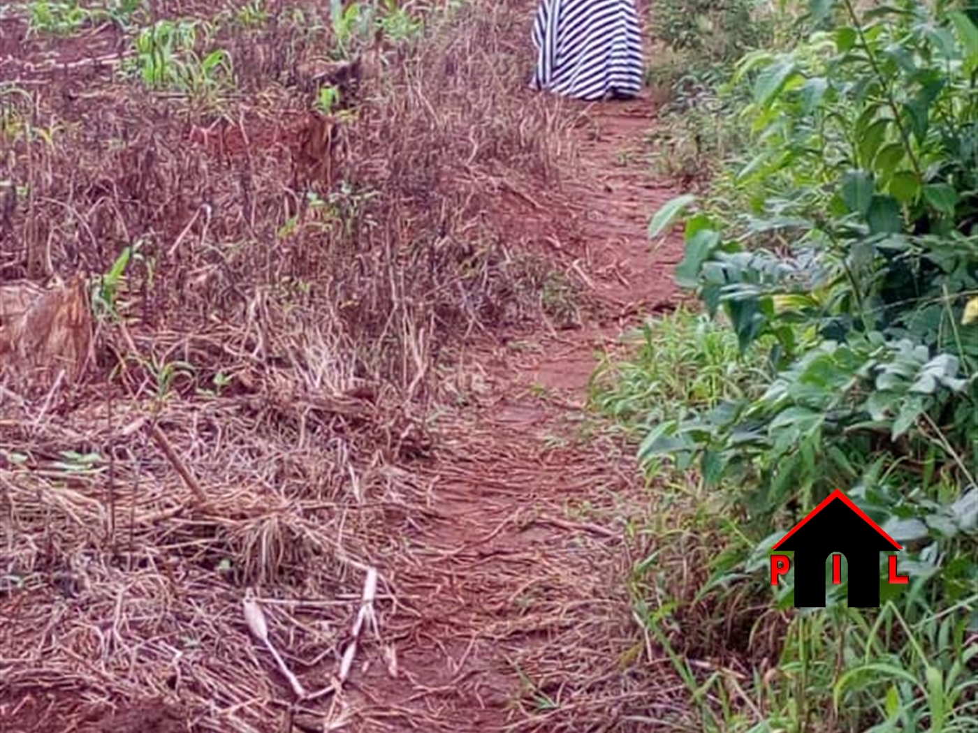 Residential Land for sale in Kiwenda Wakiso