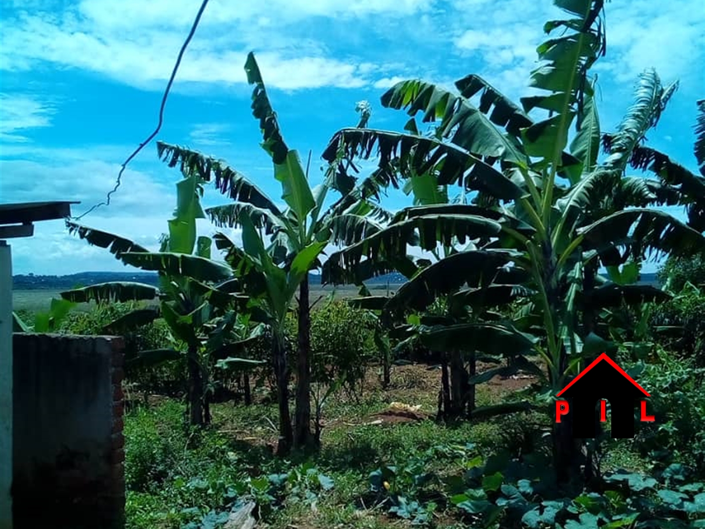 Agricultural Land for sale in Ziba Wakiso