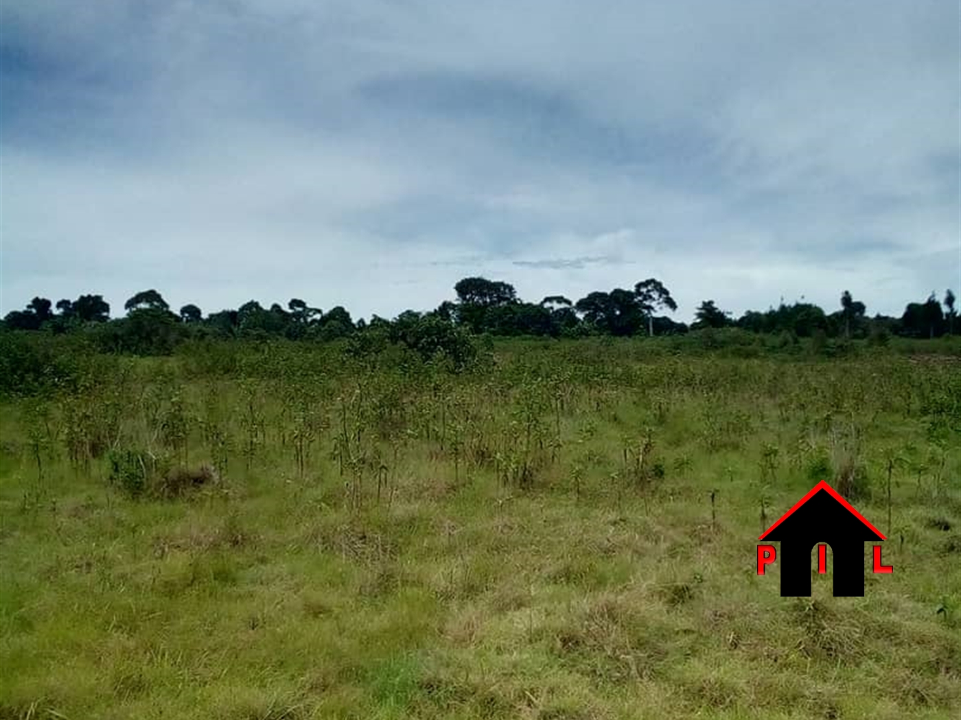 Agricultural Land for sale in Ziba Wakiso