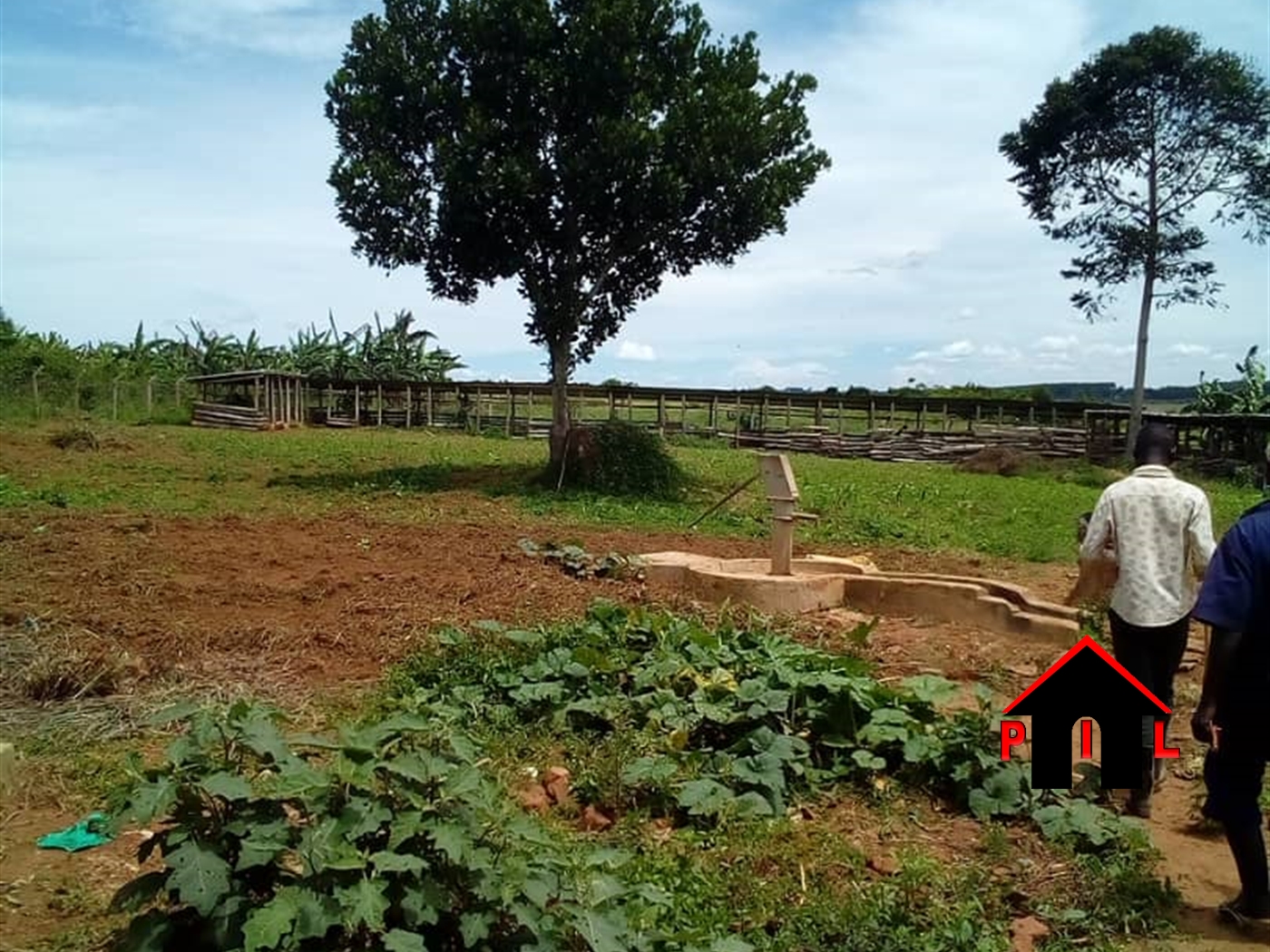 Agricultural Land for sale in Ziba Wakiso