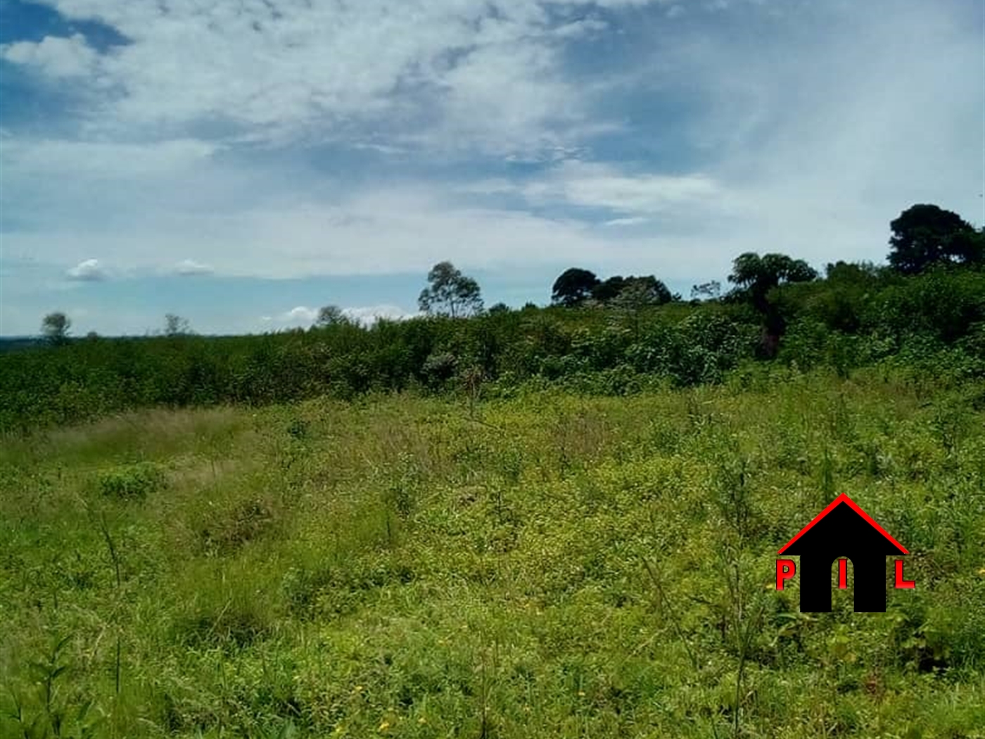 Agricultural Land for sale in Ziba Wakiso