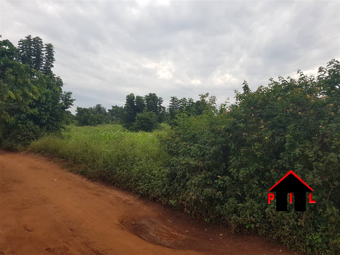 Agricultural Land for sale in Nabiyagi Mukono