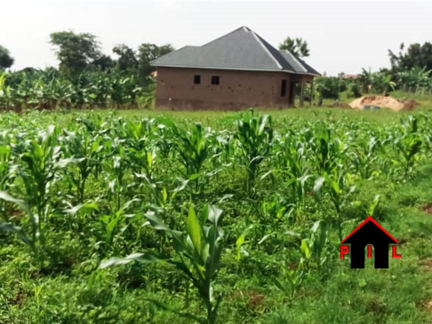 Residential Land for sale in Kiwenda Wakiso