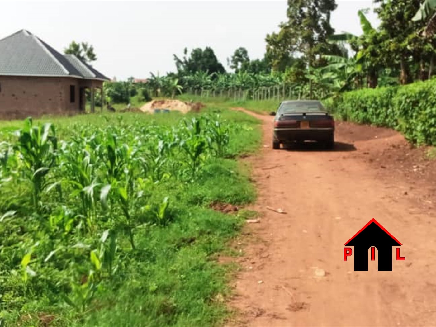 Residential Land for sale in Kiwenda Wakiso