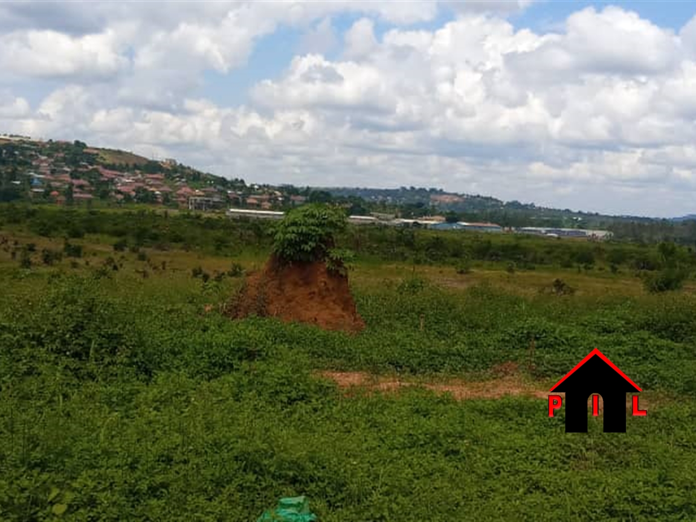 Agricultural Land for sale in Ziloobwe Luweero