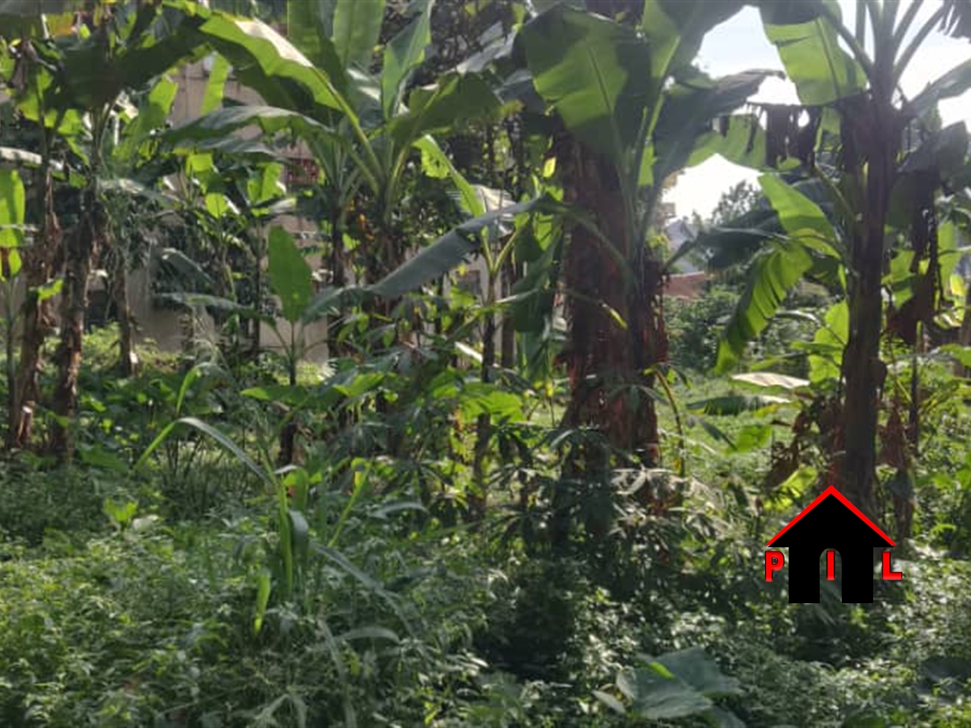 Agricultural Land for sale in Lukizi Luwero