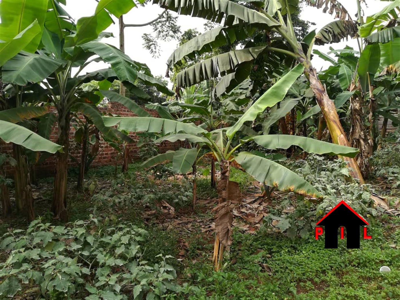 Agricultural Land for sale in Kigumbya Luwero