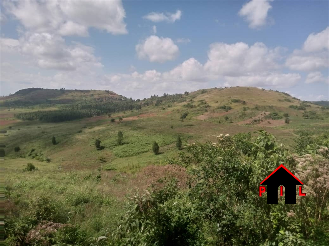 Agricultural Land for sale in Kigumbya Luwero