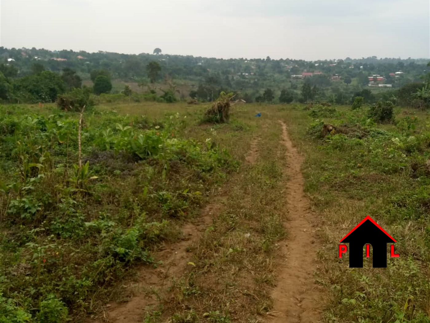 Agricultural Land for sale in Kiryagonjja Wakiso