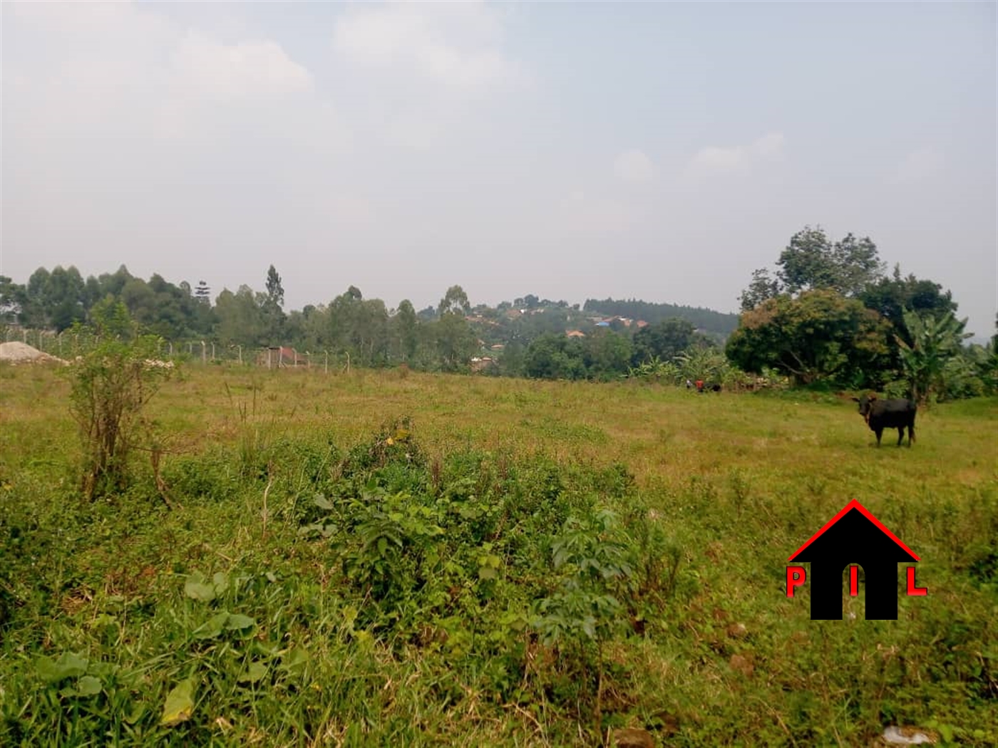 Agricultural Land for sale in Namawojja Luweero