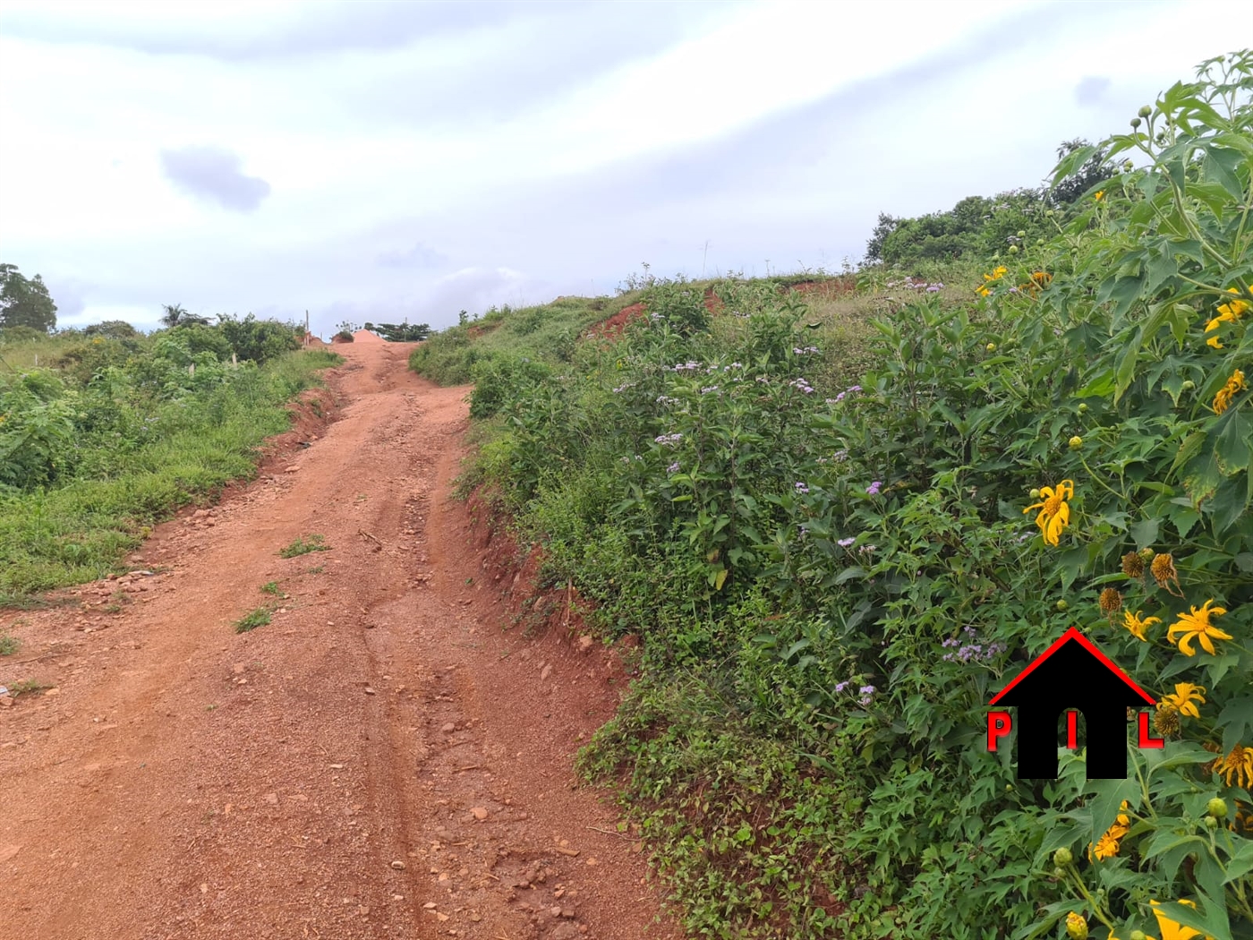 Residential Land for sale in Akright Wakiso