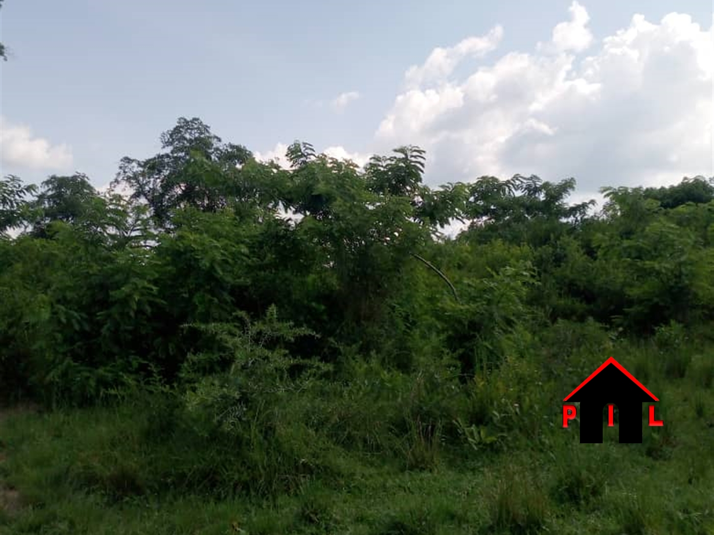 Agricultural Land for sale in Lwamawungu Nakaseke