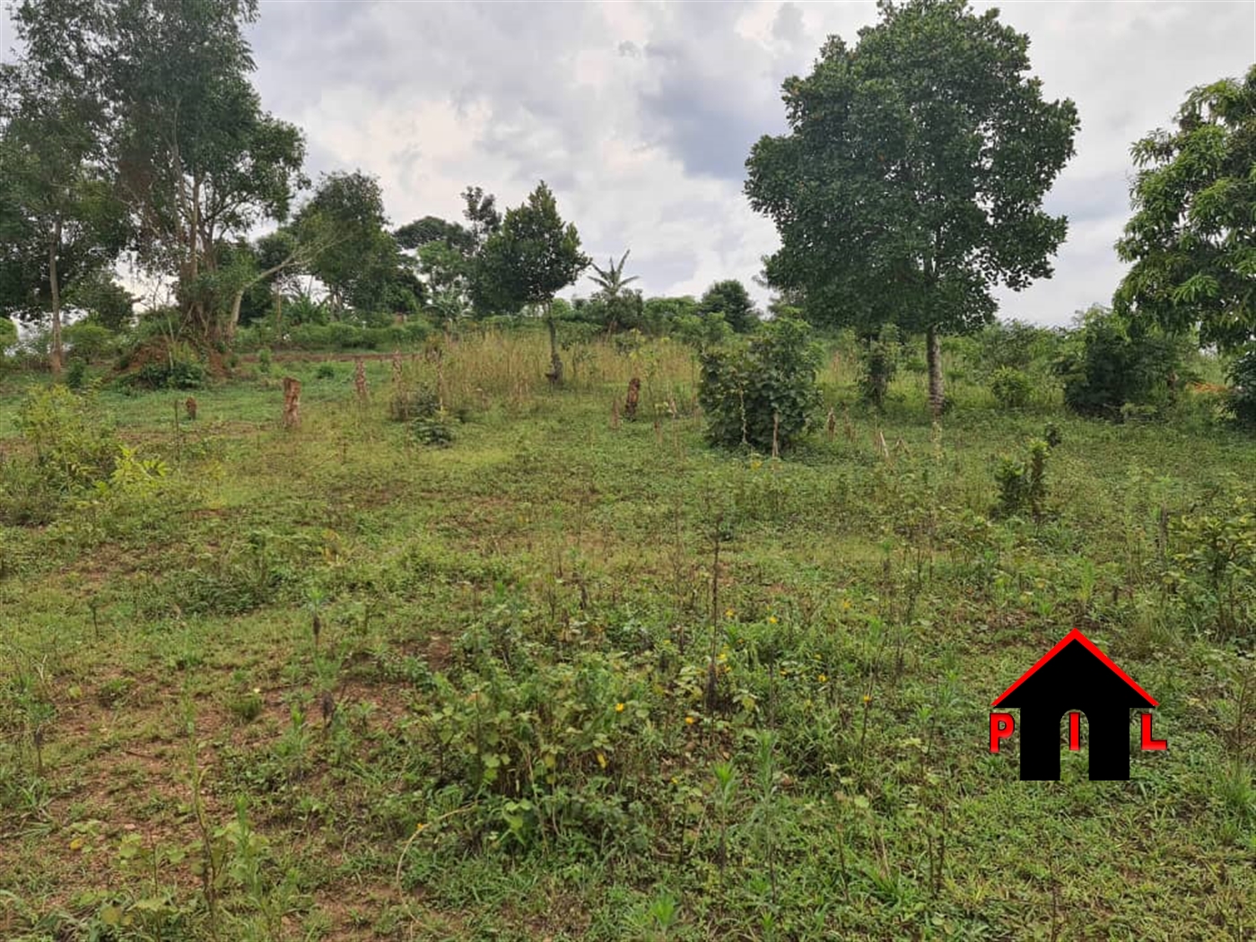 Agricultural Land for sale in Ndimulungi Luweero