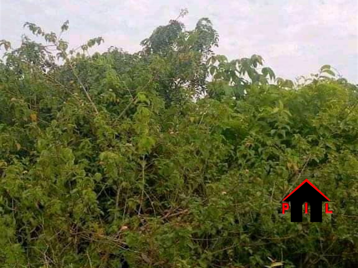 Agricultural Land for sale in Busana Luweero