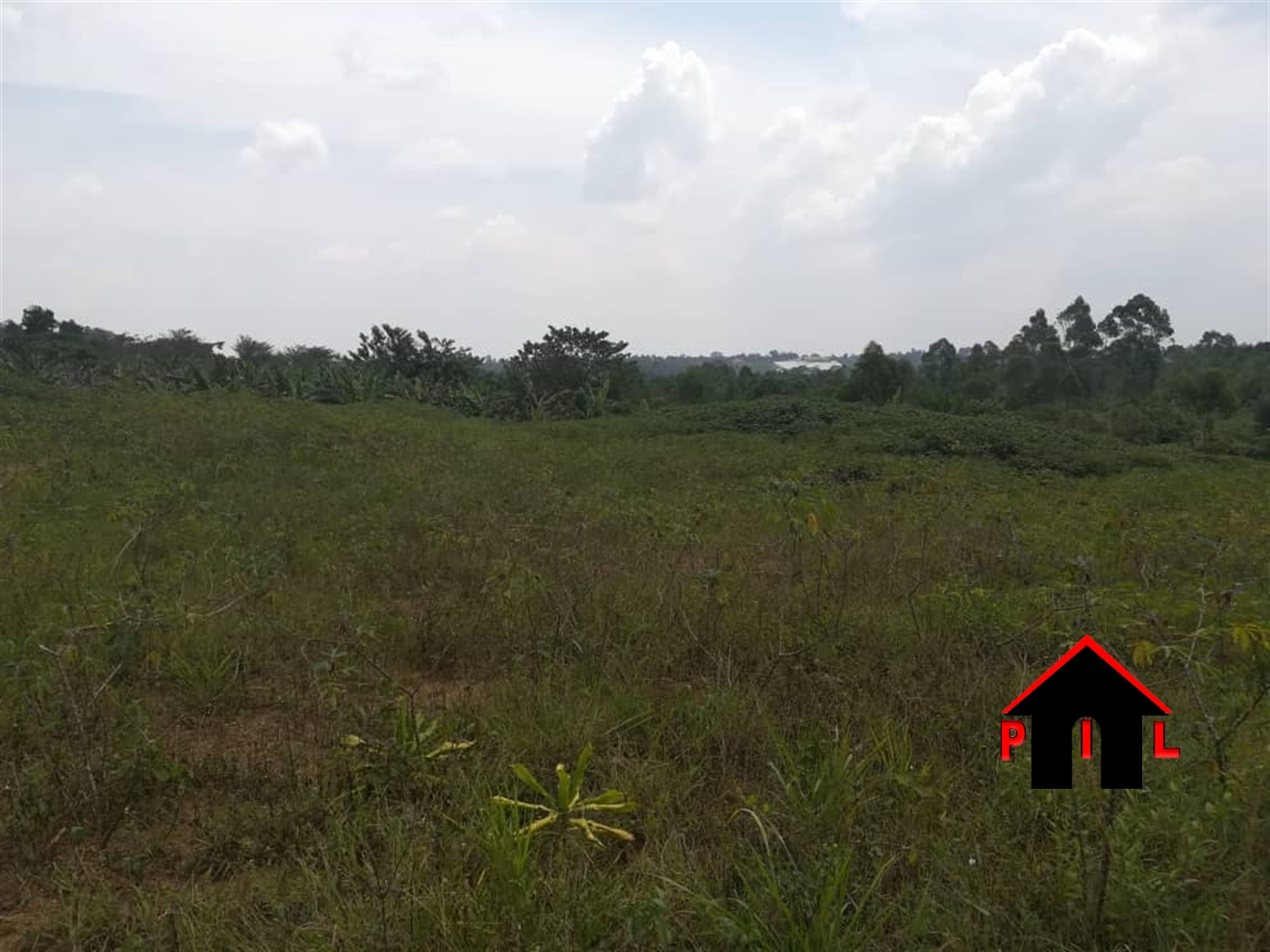 Agricultural Land for sale in Kiwangula Luweero