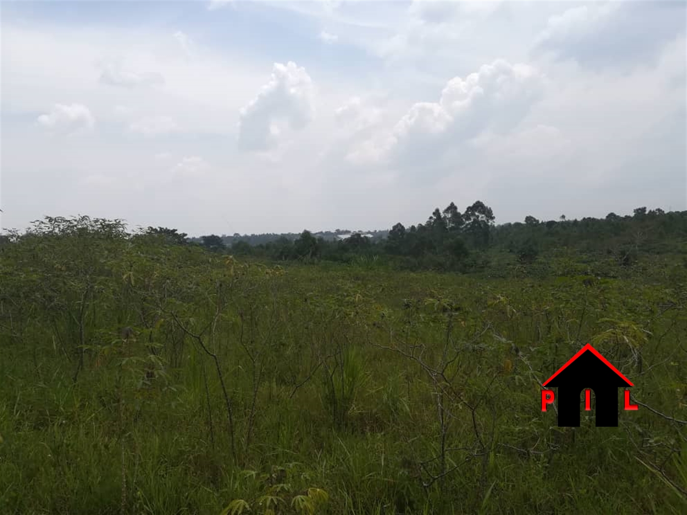 Agricultural Land for sale in Kiwangula Luweero