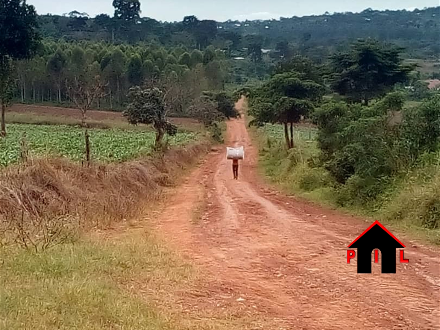 Agricultural Land for sale in Lukaaya Masaka