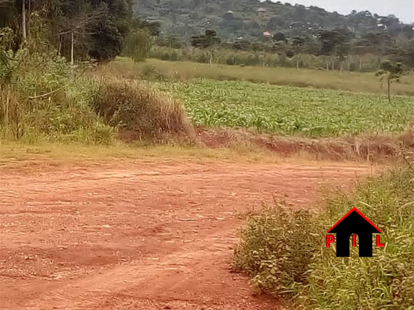 Agricultural Land for sale in Lukaaya Masaka