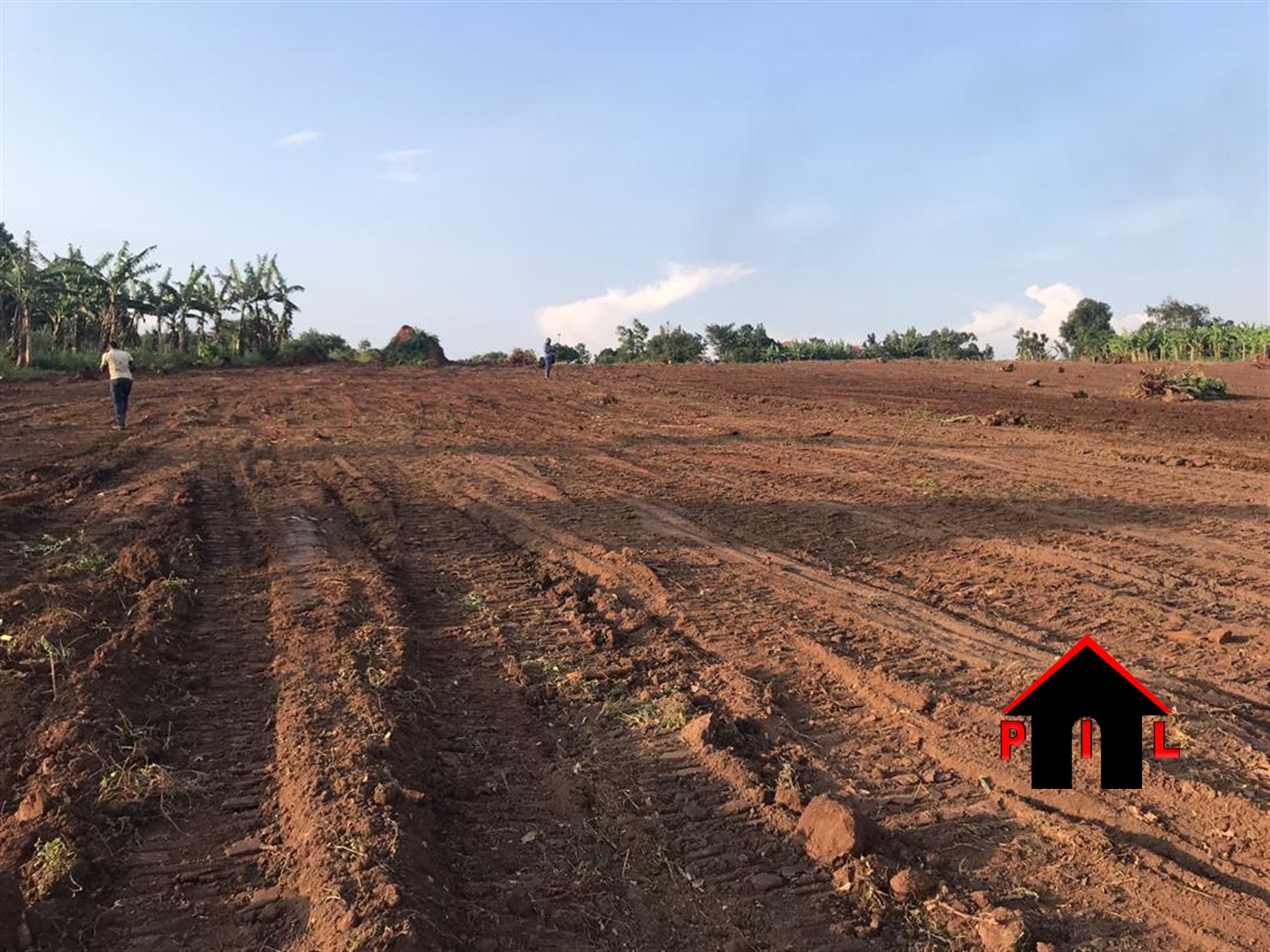 Agricultural Land for sale in Kiwanula Luweero