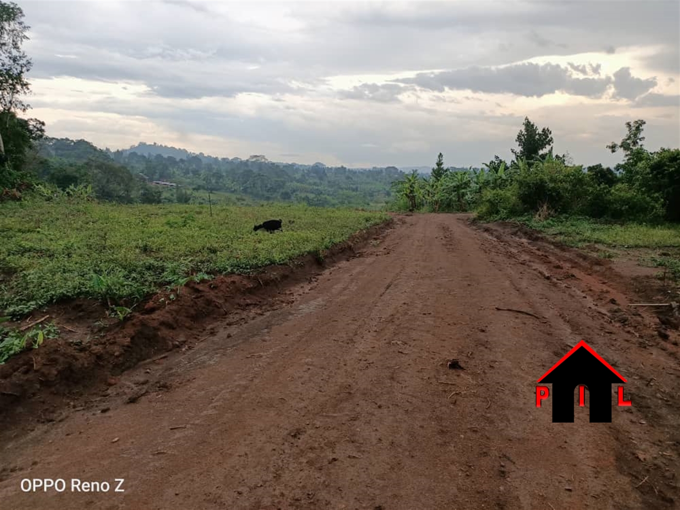 Residential Land for sale in Nangwe Mukono