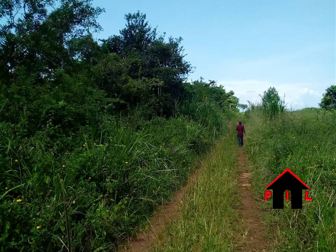 Residential Land for sale in Nakibizi Jinja