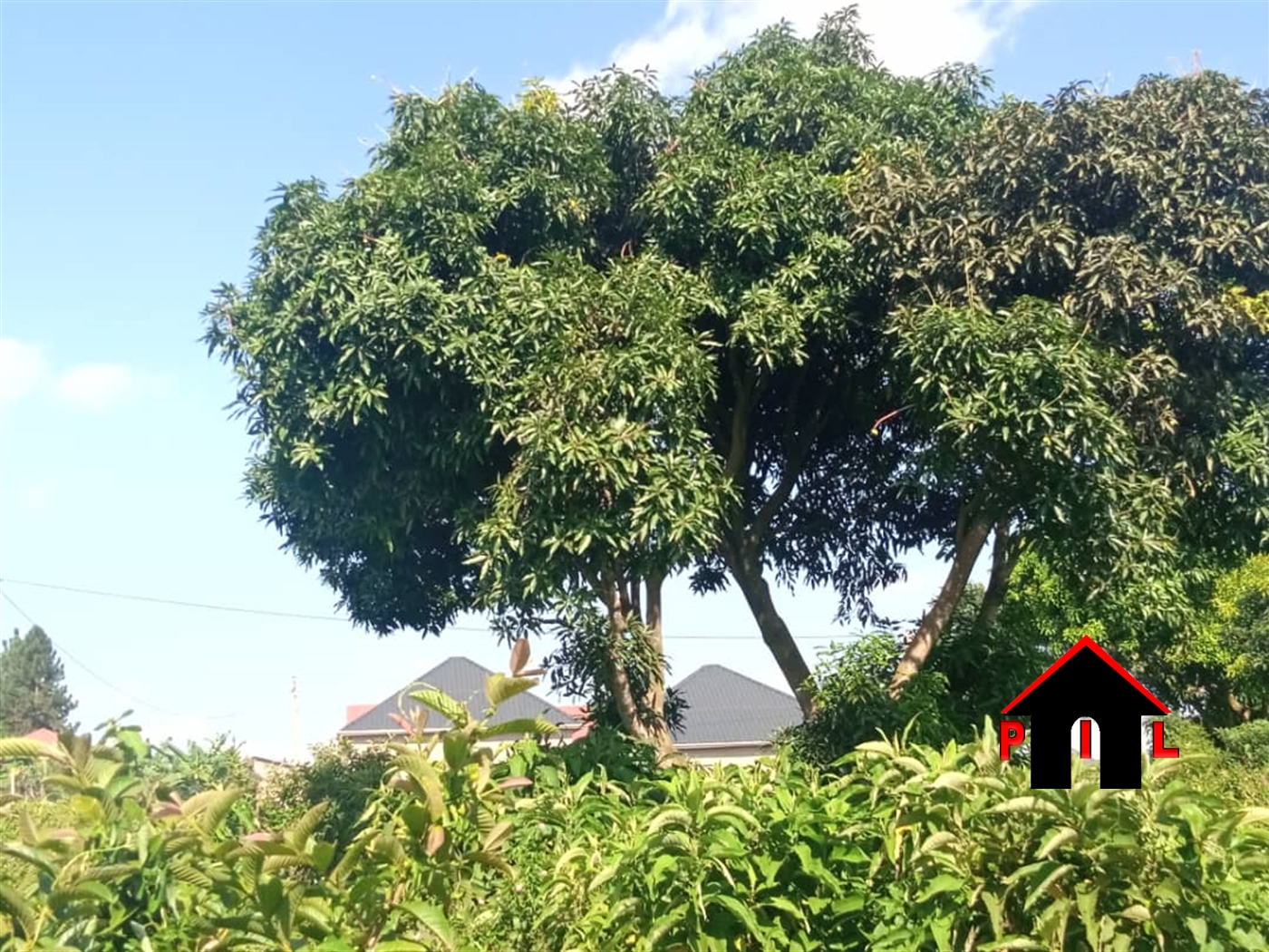 Residential Land for sale in Bugembe Jinja