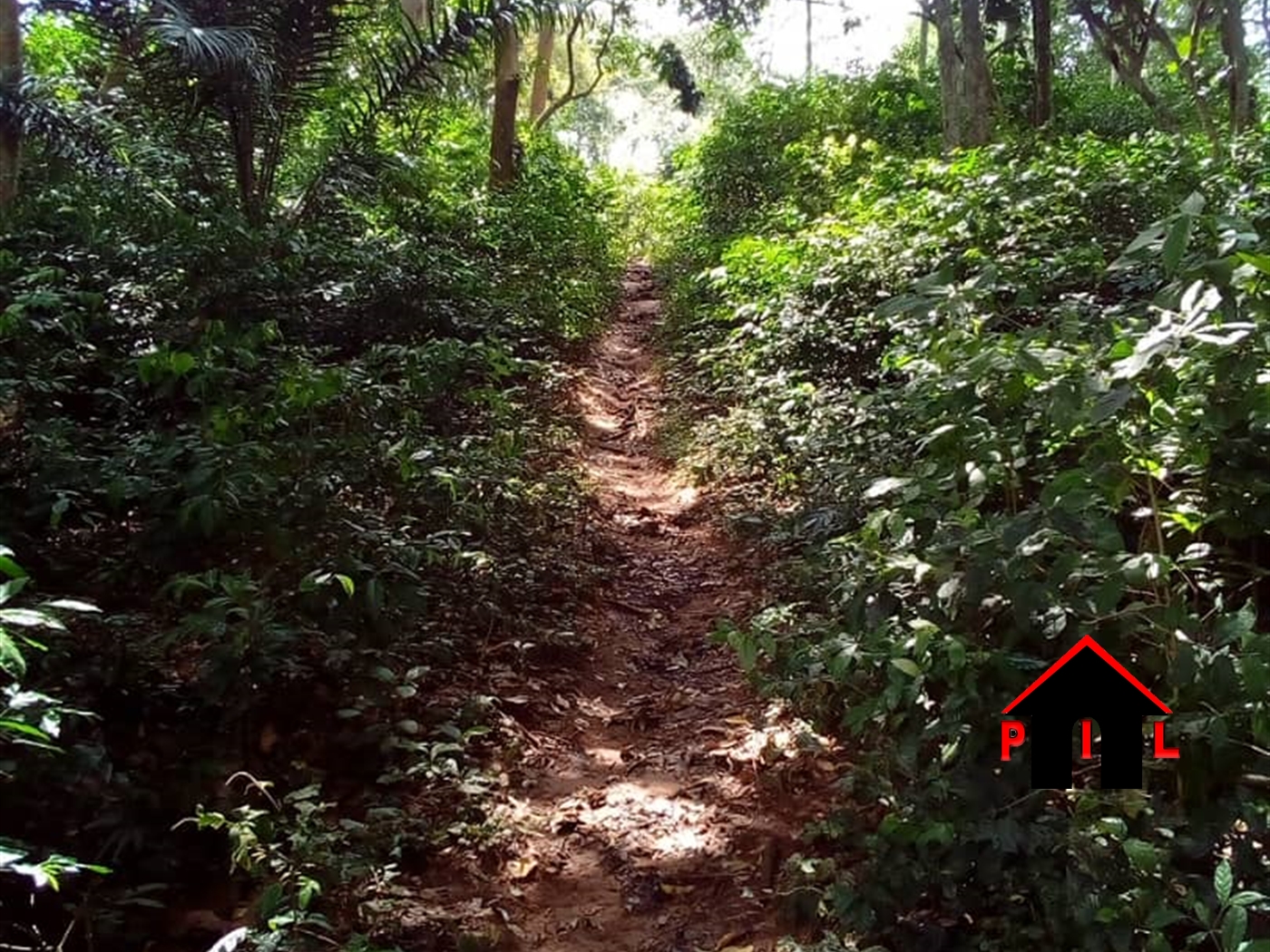 Commercial Land for sale in Bukasa Wakiso