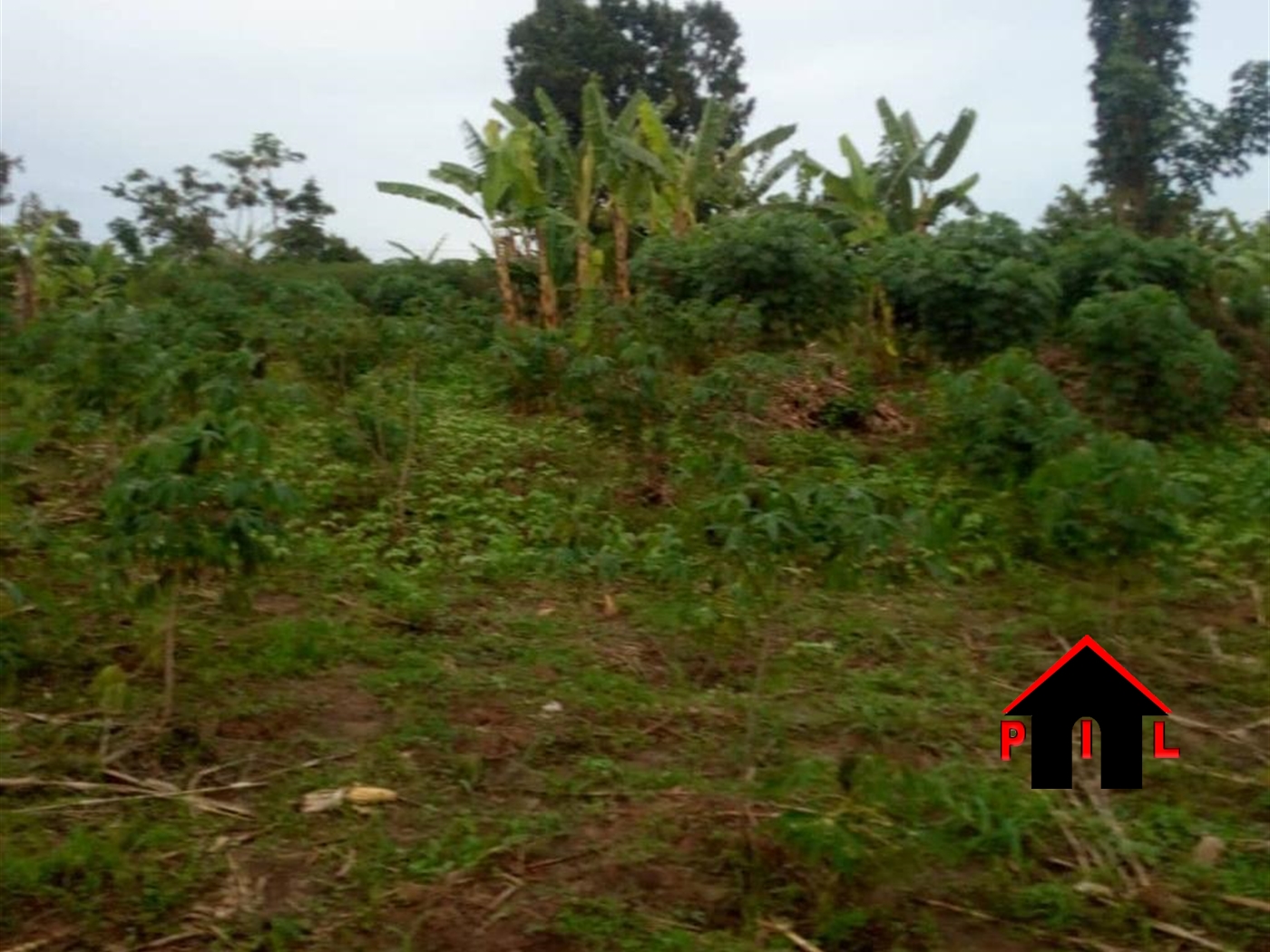 Commercial Land for sale in Busiika Luweero