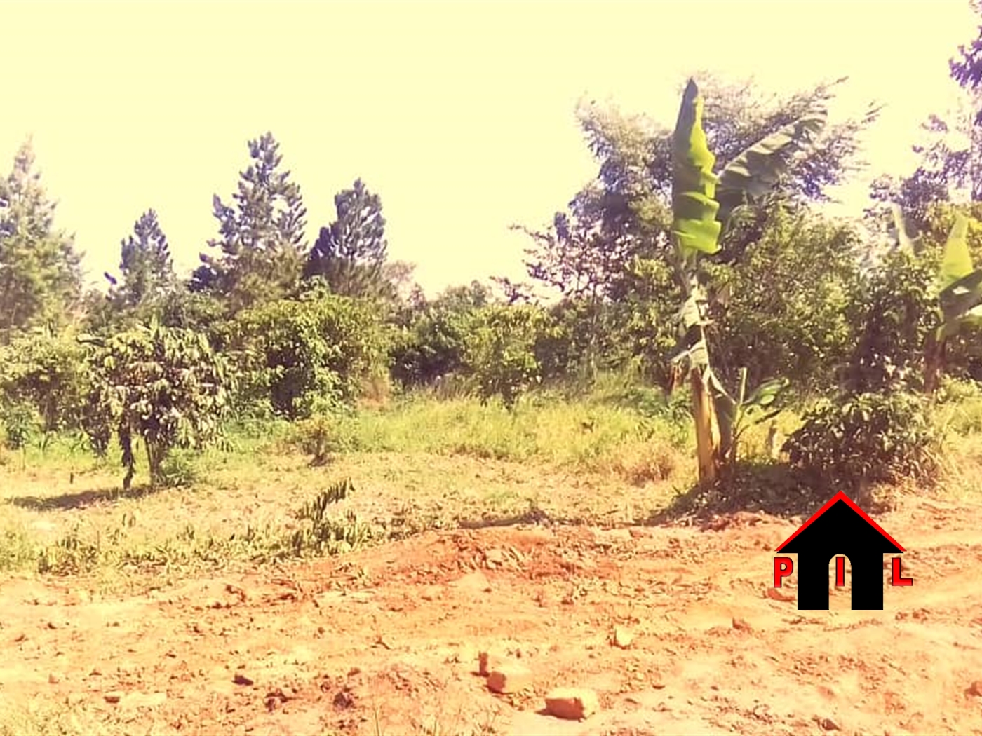 Agricultural Land for sale in Kalagala Nakaseke