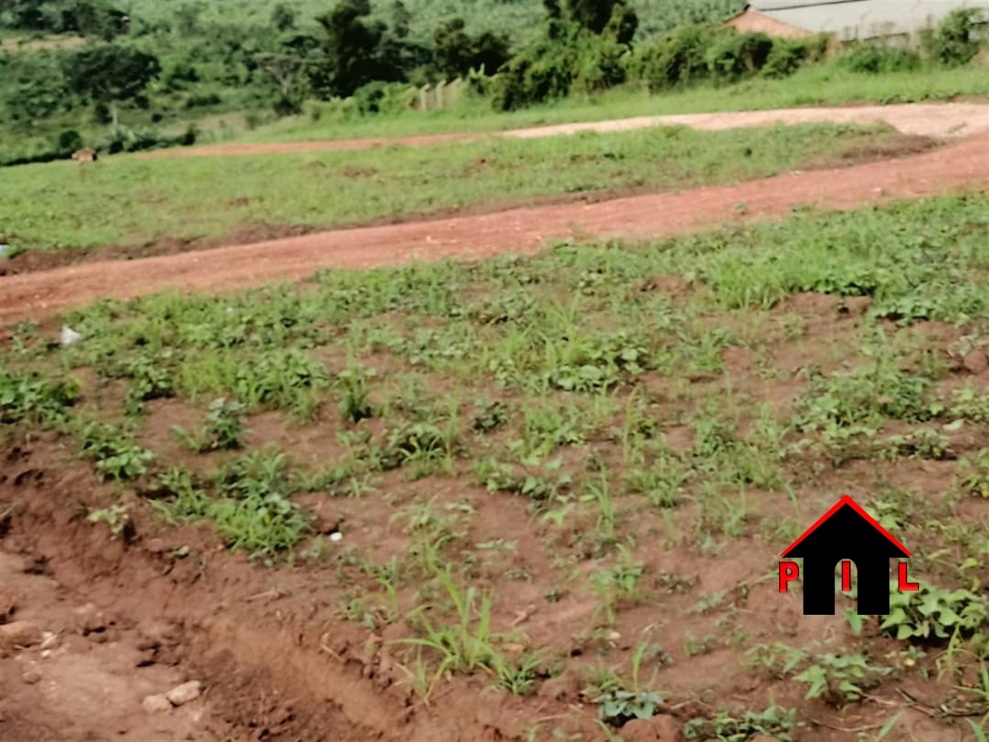 Agricultural Land for sale in Kalule Luweero