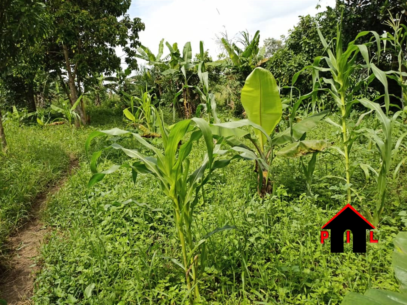 Residential Land for sale in Migade Wakiso