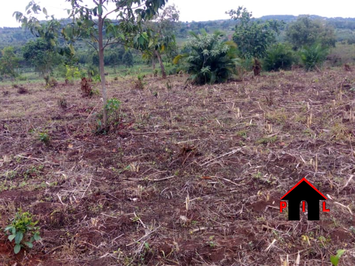 Commercial Land for sale in Kajjansi Wakiso